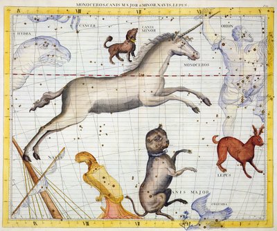 Costellazione del Monoceros con Canis Major e Minor, tavola 13 da 